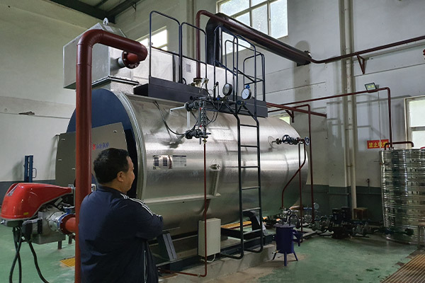 河南濟源一制藥廠用8噸燃?xì)庹羝仩t項目